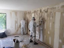 Best Mold Remediation for Healthcare Facilities  in Kdeer, IL